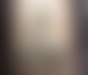 The Military Service of Private Thomas Rice