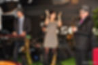 Studio Essevee - Zulte Waregem