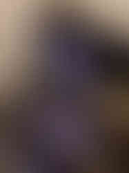 IMG_4518.JPEG