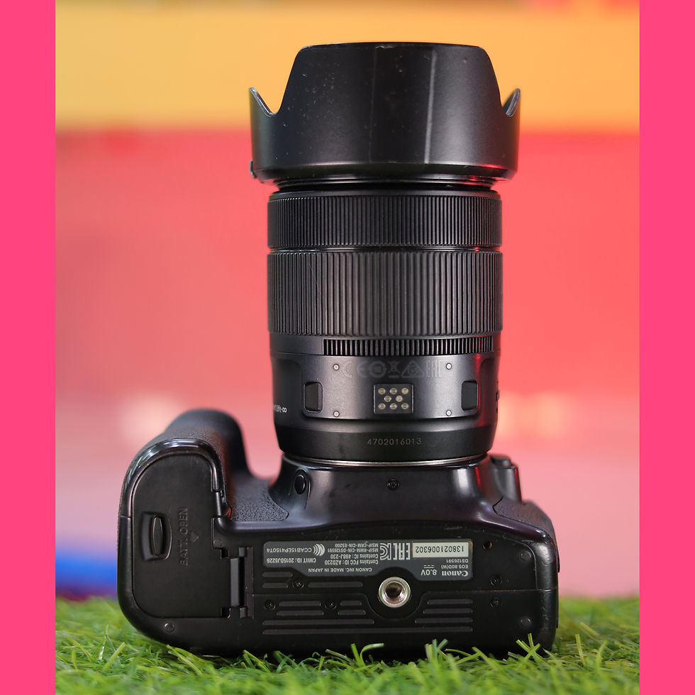 EOS 80D EF-S18-135mm IS USM 【公式通販】