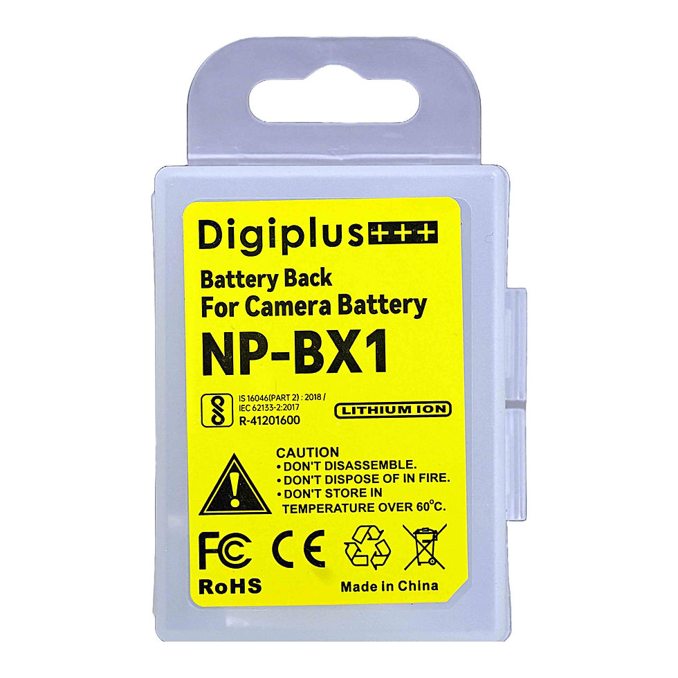 DIGIPLUS NP-BX1 battery Packaging