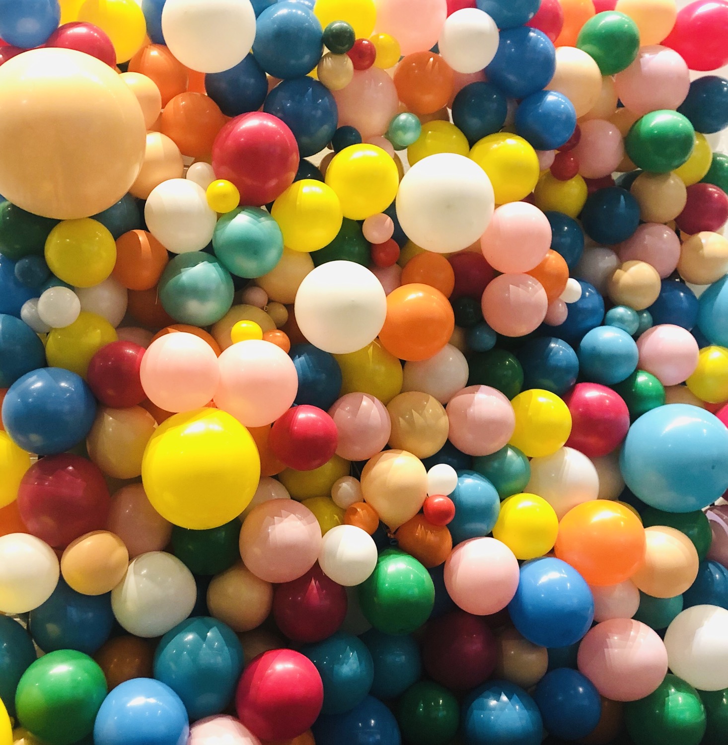Toronto Balloons | Balloon Wall
