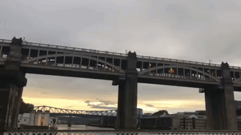 giphy2.gif