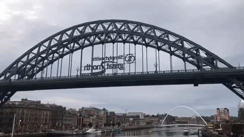 giphy1.gif