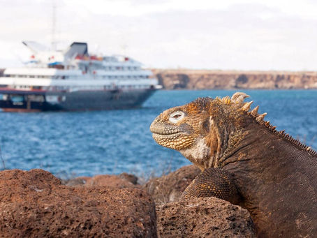 Silversea Expeditions’ Silver Galapagos Now Includes Land and Air Package