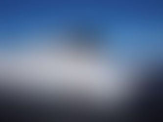 The Value of Ship Within a Ship Voyages