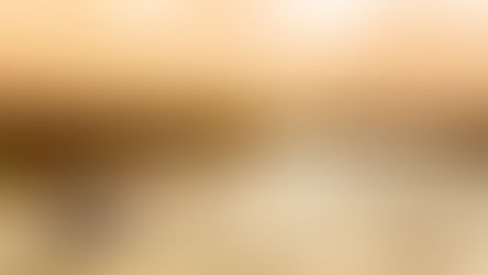 Special Offers Look to Holiday Cruises and More