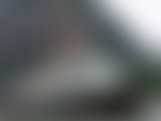 Alaskan Dream Cruises Enhances Its Family Voyages for 2017