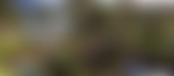 Hotel Review: Grand Hyatt Kauai Resort and Spa 2016