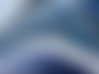 Top 10 Best Royal Princess Features