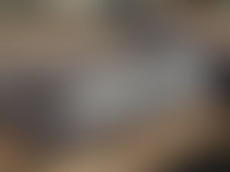 The New Regal Princess Announced with Her Keel Laying