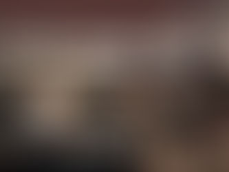 What Holland America Line’s New Explorations Central Means for Cruising