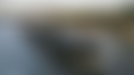 Millennials Take to the River on First U by Uniworld Cruise