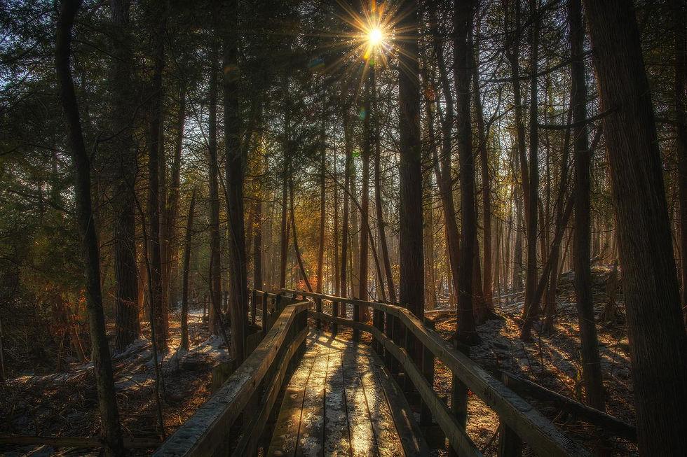OCC Daytime Shooters: Outing to Crawford Lake Conservation Area