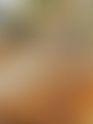 宴點之美:從味覺到心境的饗宴旅程