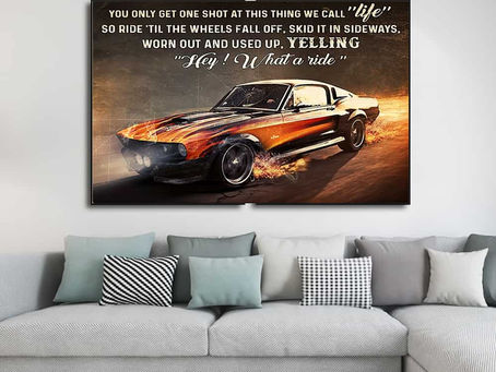 Find - FM You only get one shot at this thing we call life hey what a ride poster, canvas