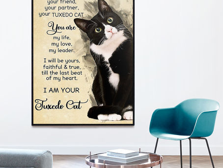 Best - I am your friend your partner your tuxedo cat i am your Tuxedo Cat poster, canvas