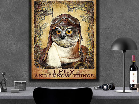 Buy - Owl Pilot That's what I do I fly and I know things poster, canvas