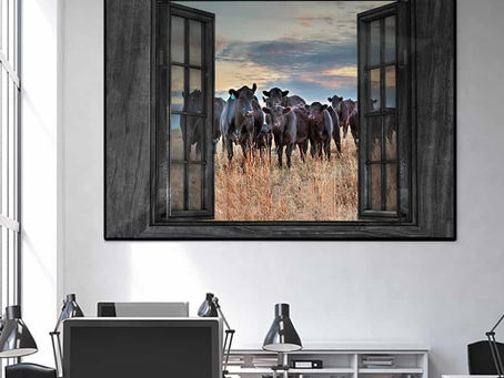 Shop - Cows By The Window poster, canvas