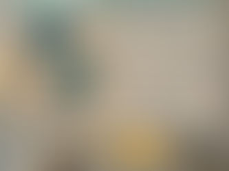 Best - Sea Turtle The Day I Met You I Have Found The One Whom My Soul Loves You Complete Me poster