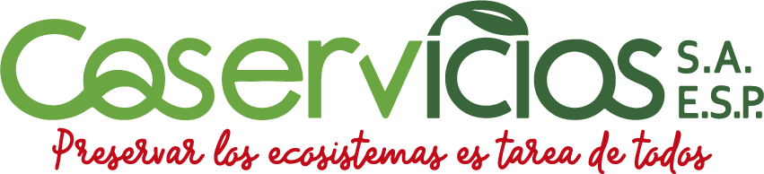 coservicios logo.png