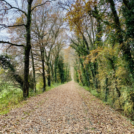 Autumn and winter walks around the Dordogne river