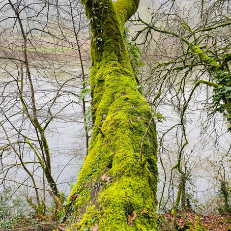 A walk for all seasons - around Albas