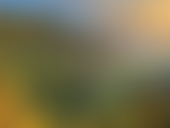 Você está criando para o futuro?