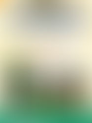 マイクライベント開催! 5月31日 6月7日