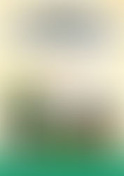 ガウラくんマイクラプログラミング