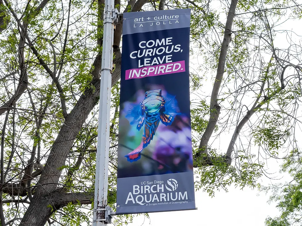 Birch Aquarium Banner