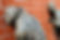 sculpturesmall.jpg