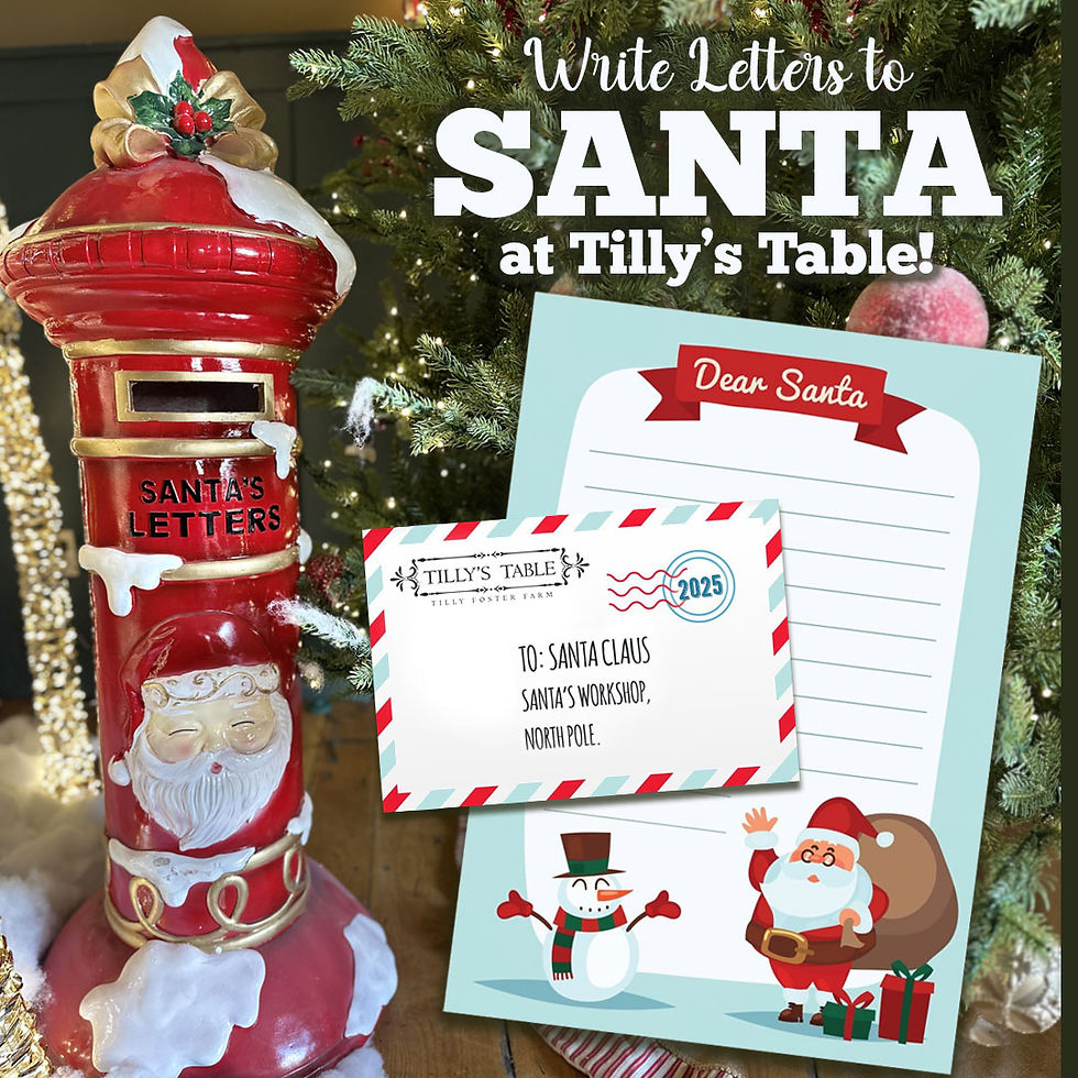 Letters to Santa at Tilly’s Table! Bring the magic of the season to your family dinner!