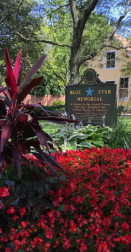 BlueStarCoverFINAL.jpg