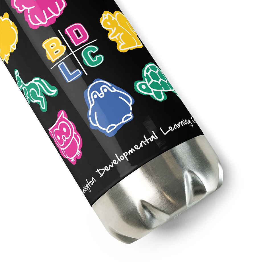 Thumbnail: BDLC Stainless Steel Water Bottle