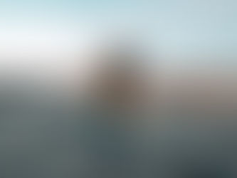 Infrared roof inspection performed by a commercial roofing technician.