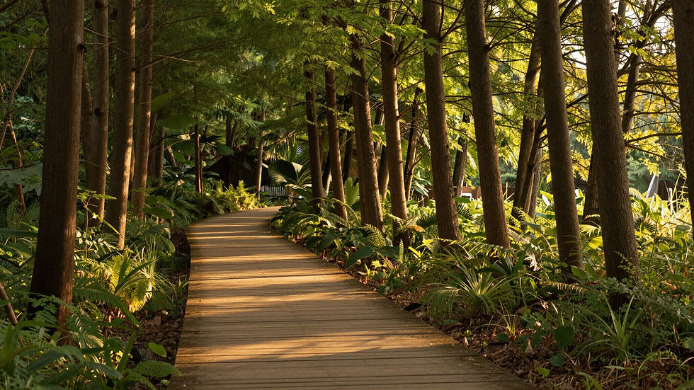 path.jpg