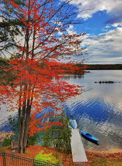 Breathtaking Fall Foliage