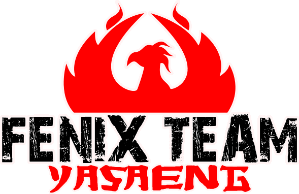 FENIX TEAM.gif
