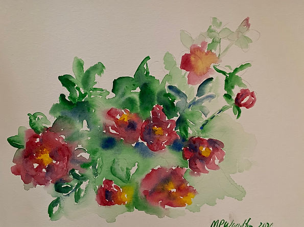 Camellias.jpg