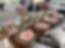 IMG_1173.jpeg