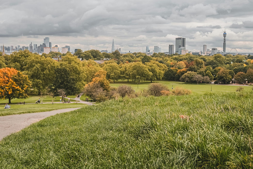 View of the London Skyline from Primrose Hill.