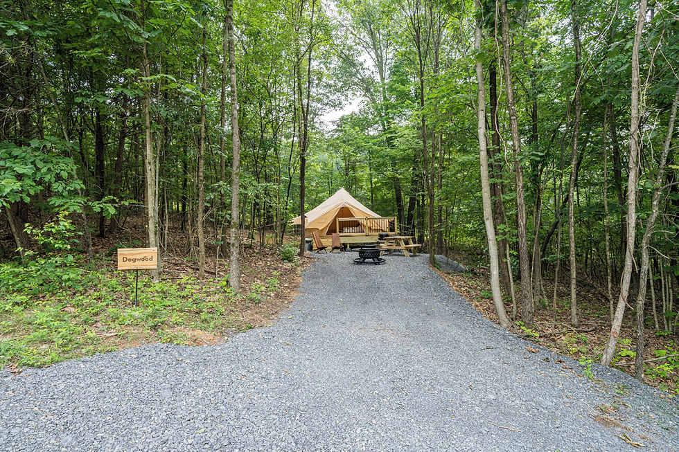 Firefly Ridge Luxury Glamping tipi forest clearing campsite DMV