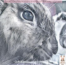 187470631_4678528728831046_1306284351785