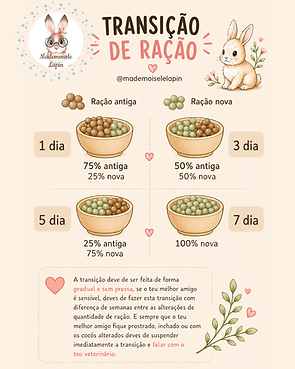 3 dia (1).png