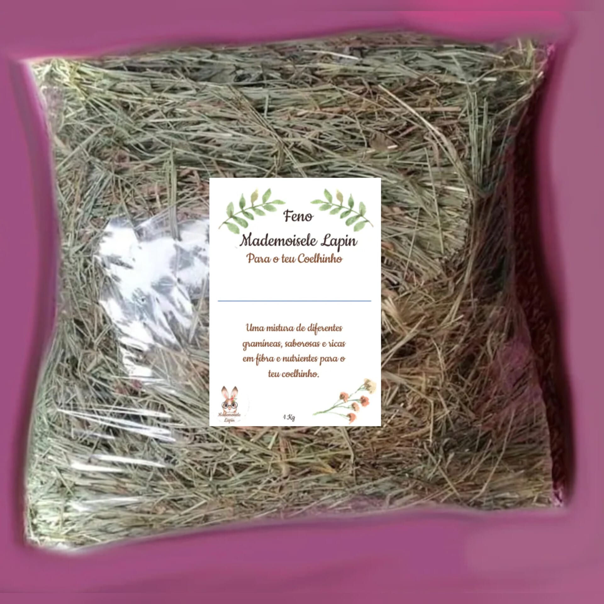 Feno Mademoisele Lapin