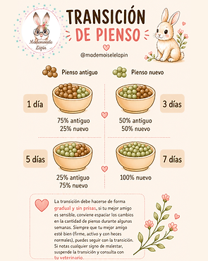 3 dia (2).png