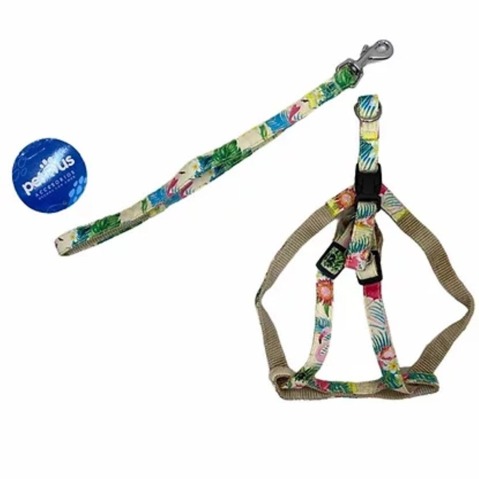Miniatura: PECHERA Y CORREA DE NYLON 1CM * 120CM
