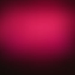 YOUR SILENCE WILL BE STUDIED