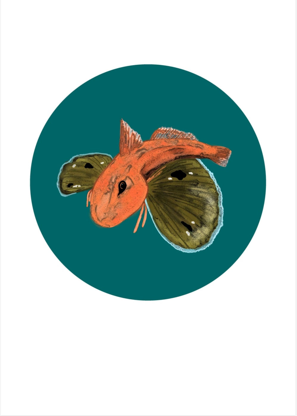 gurnard fish artwork by nz artist sally mcconnell